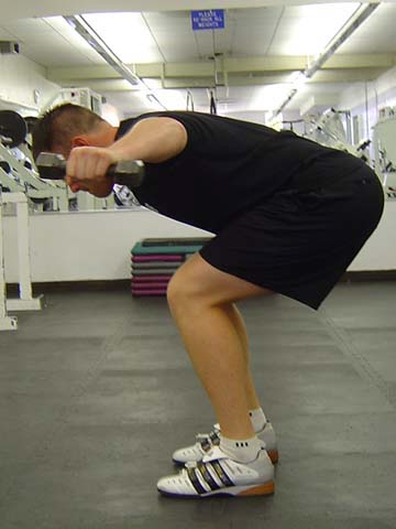 Pitchers workout Bent Over Fly exercise image