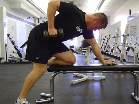 Pitchers workout Dumbbell Row exercise image